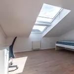 Vipavska House Hostel